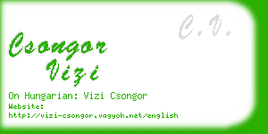 csongor vizi business card